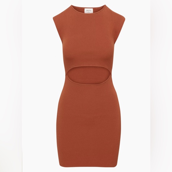 Wilfred Cut-Out Knit Mini Dress (copper red) - Picture 5 of 8